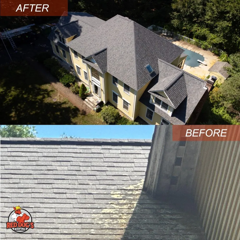 Slide of Red Dog's Roofing