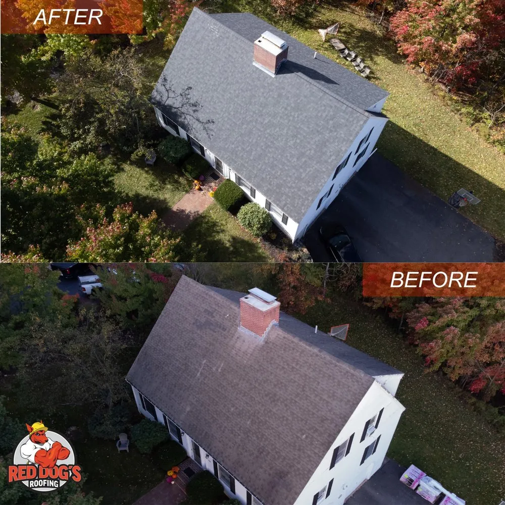 Slide of Red Dog's Roofing