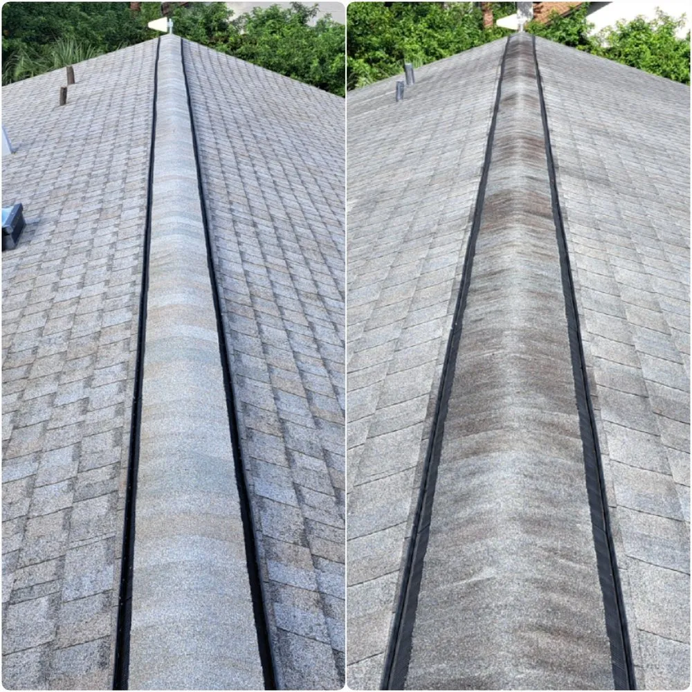 Slide of Red Letter Clean