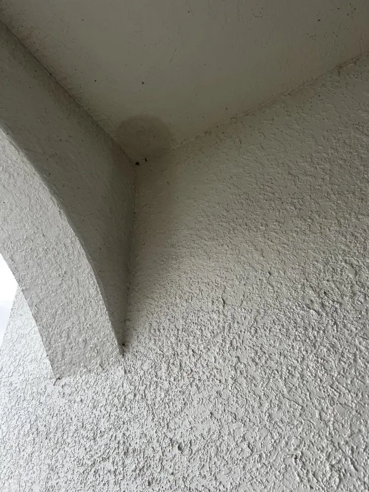 Slide of Red Pros Roofing