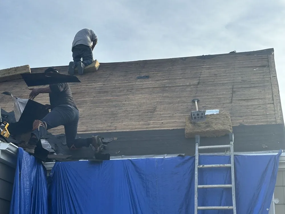 Slide of Red Roofing