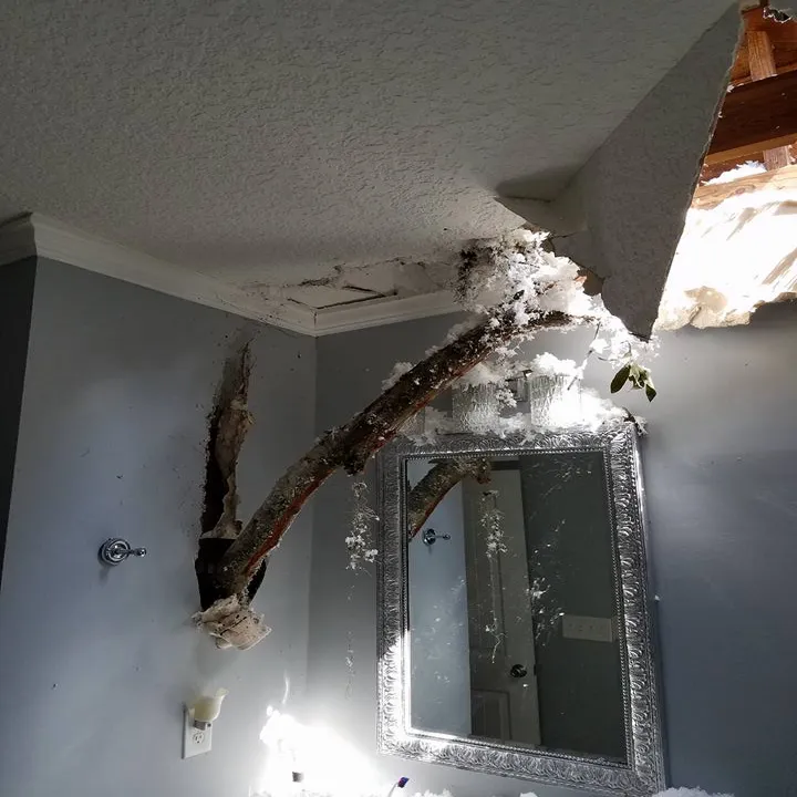 Slide of Red Stag Contracting