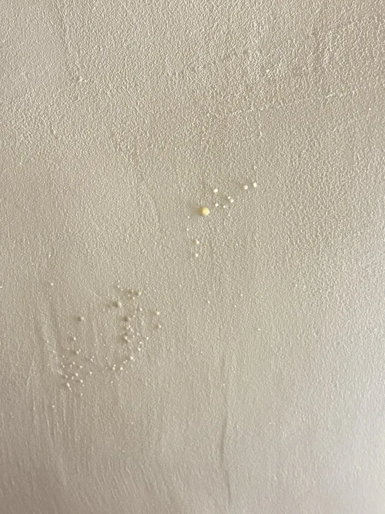 Slide of Red Truck Roofing