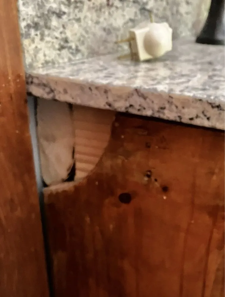 Slide of Redbrick Core