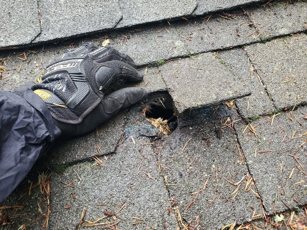 Slide of Redmond Roofing