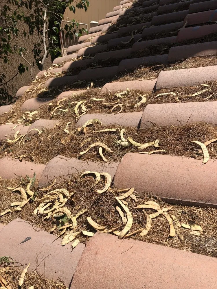 Slide of Redstone Roofing