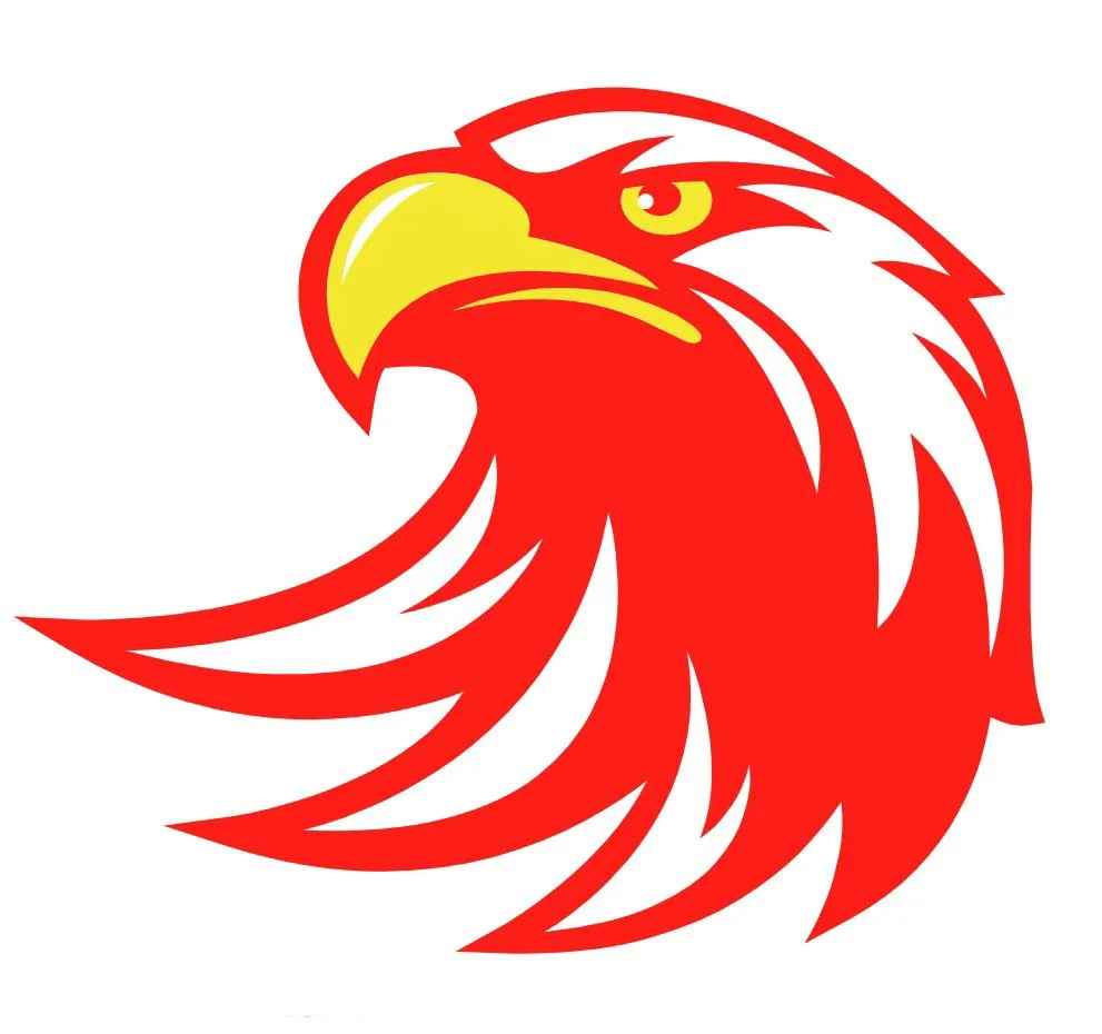 Slide of Redtail Roofing