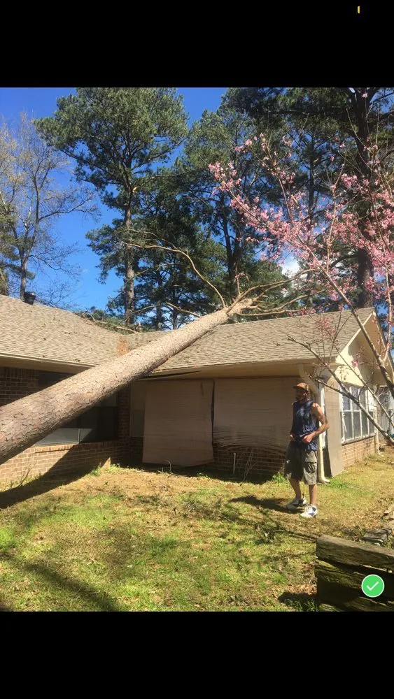 Slide of Reece Roofing & Remodeling