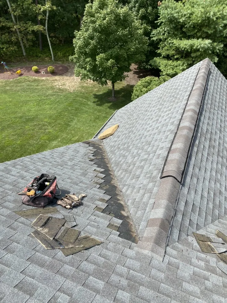 Slide of Reese & Sons Roofing & Repair