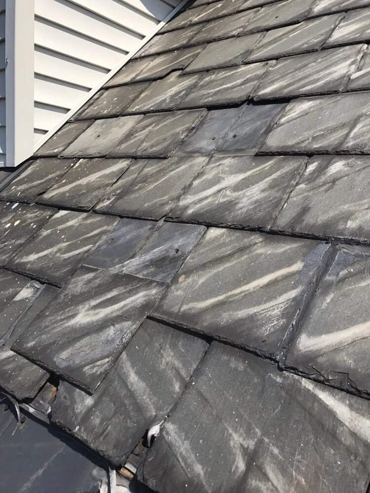 Slide of Reese & Sons Roofing & Repair