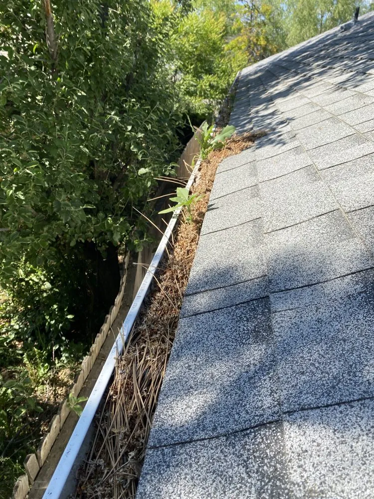 Slide of Reese’s Gutter and Roof Cleaning
