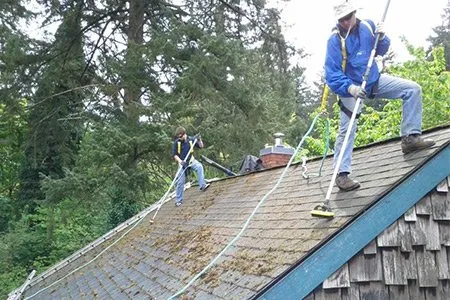 Slide of Referred Roof Cleaning