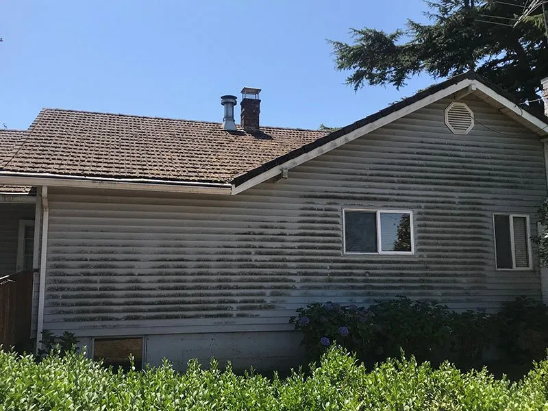 Slide of Referred Roof Cleaning