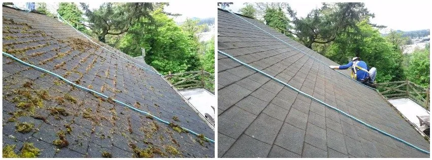 Slide of Referred Roof Cleaning