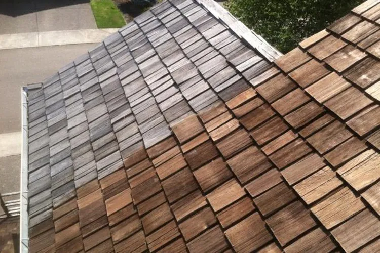 Slide of Referred Roof Cleaning