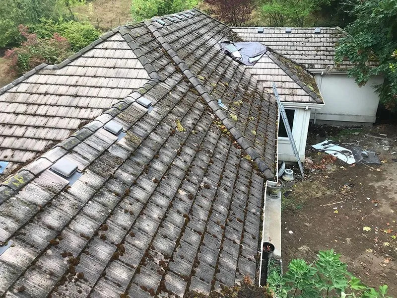 Slide of Referred Roof Cleaning