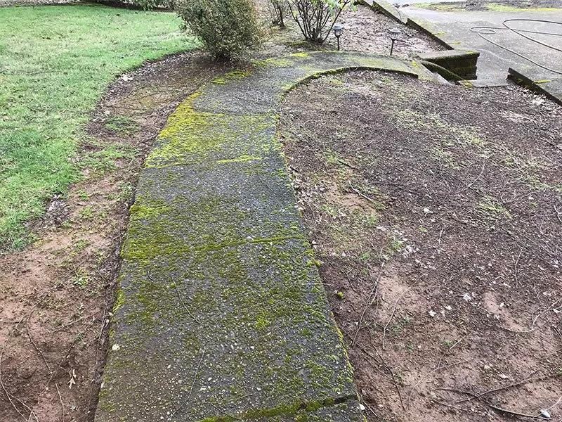 Slide of Referred Roof Cleaning