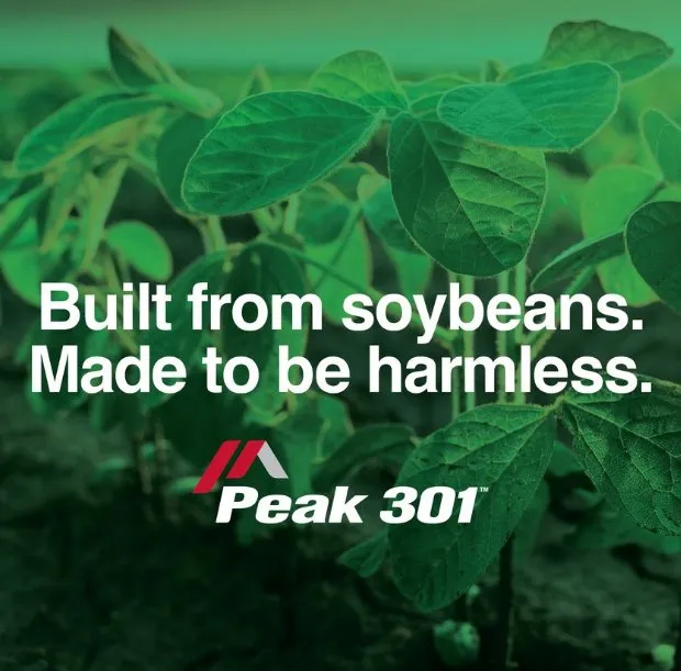 Slide of Refresh Your Roof