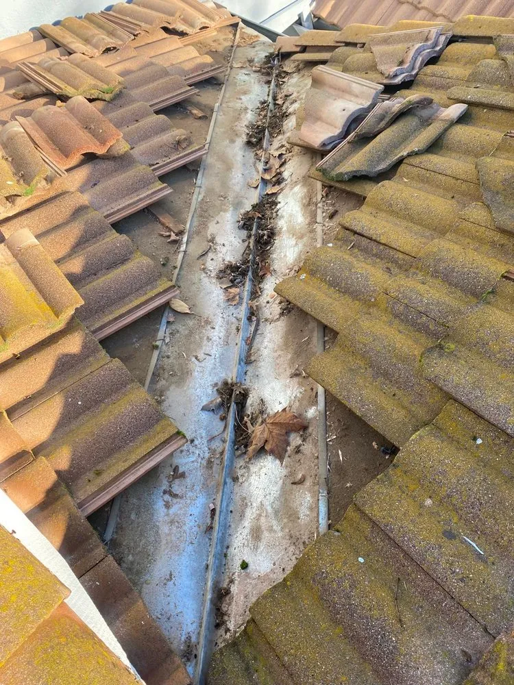 Slide of Regal Home Maintenance