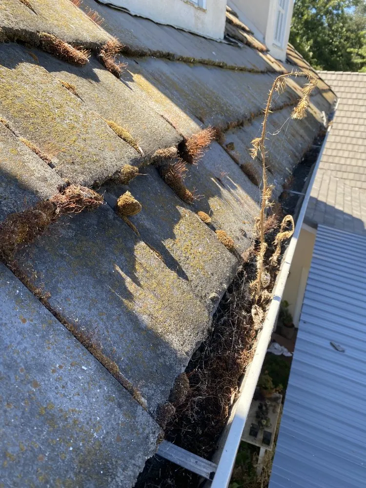 Slide of Regal Home Maintenance