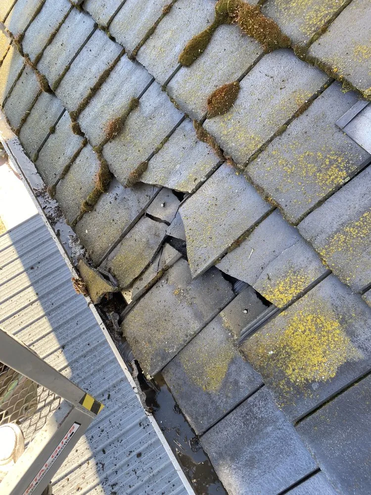 Slide of Regal Home Maintenance