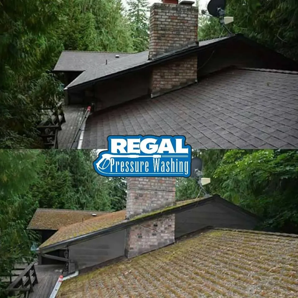 Slide of Regal Pressure Washing