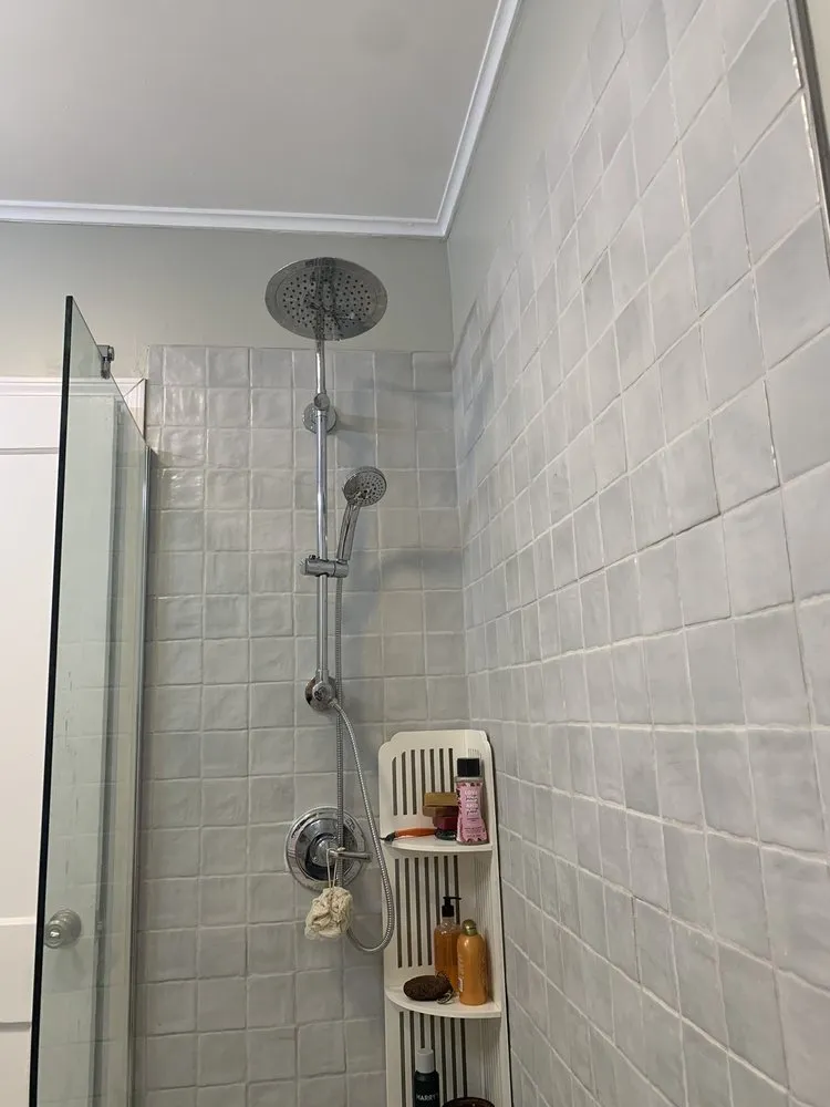 Slide of Regional Remodeling