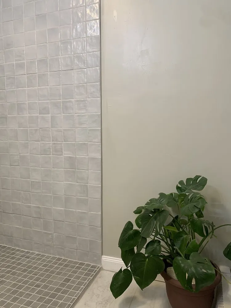 Slide of Regional Remodeling