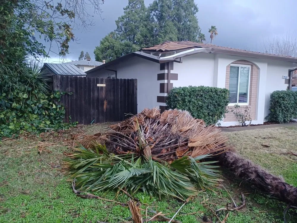 Slide of Regional Roofing
