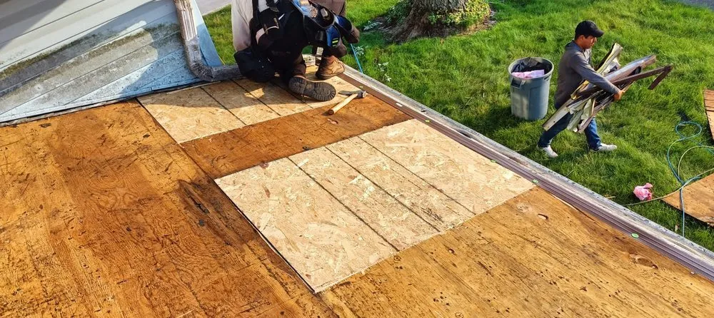 Slide of Rehabs R Us