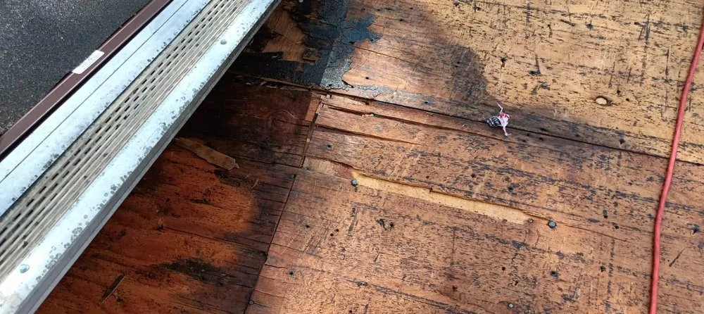 Slide of Rehabs R Us