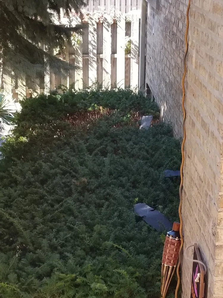 Slide of Reid Roofing