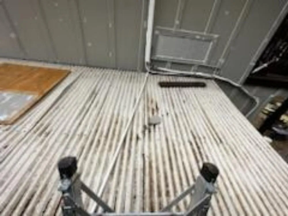 Slide of Reindeer Roofing