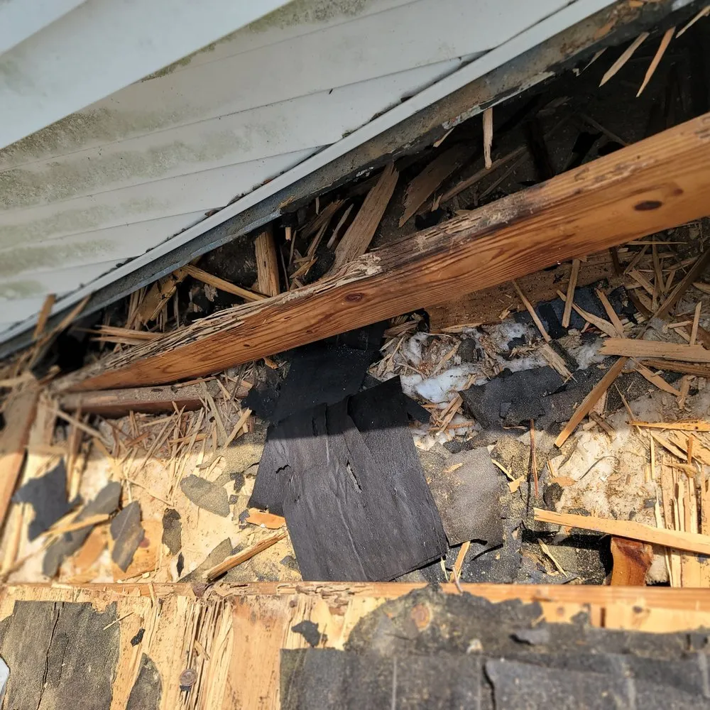 Slide of Reinhardt Restoration