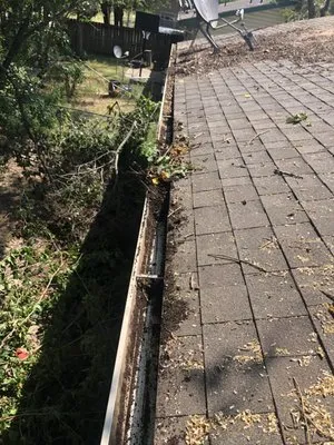 Rejuvenate Home Logo