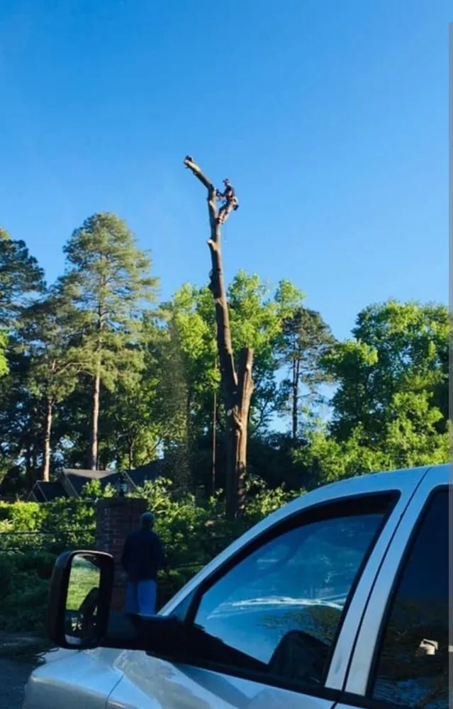 Slide of Reliable Resources