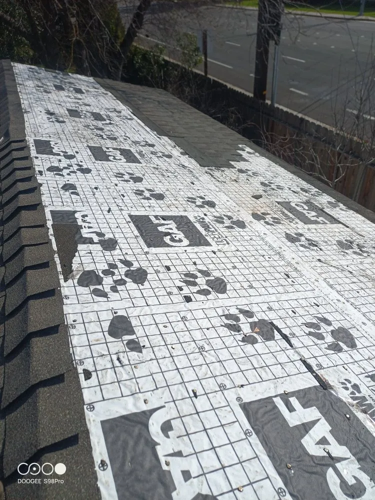 Slide of Reliable Roof Repair