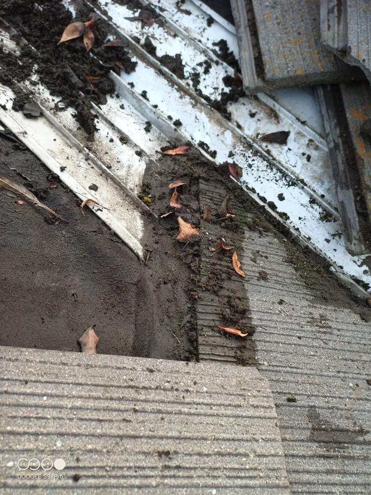 Slide of Reliable Roof Repair