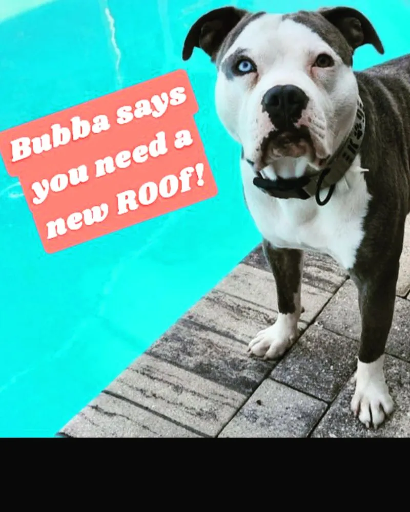 Slide of Reliable Roofing & Gutter Solutions