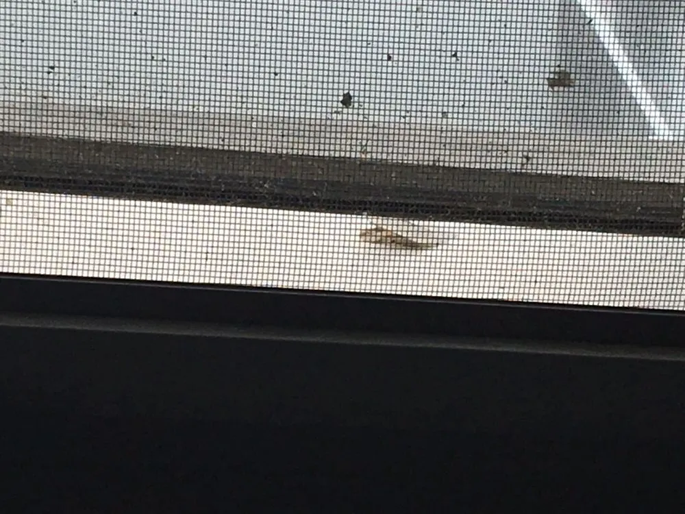 Slide of Reliable Roofing