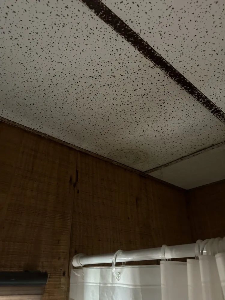 Slide of Reliable Roofing