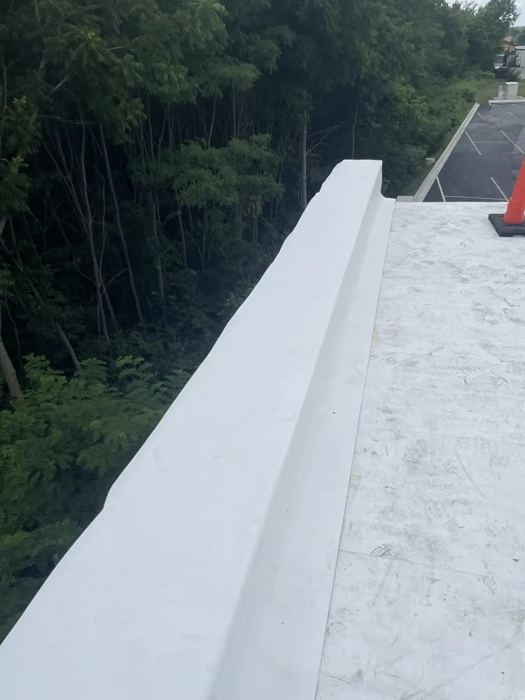 Slide of Reliance Roofing Systems