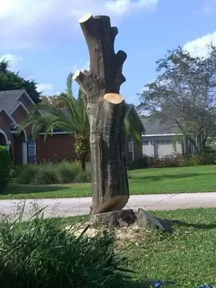 Slide of Reliant-Innovations