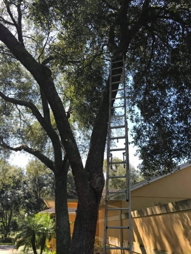 Slide of Reliant-Innovations