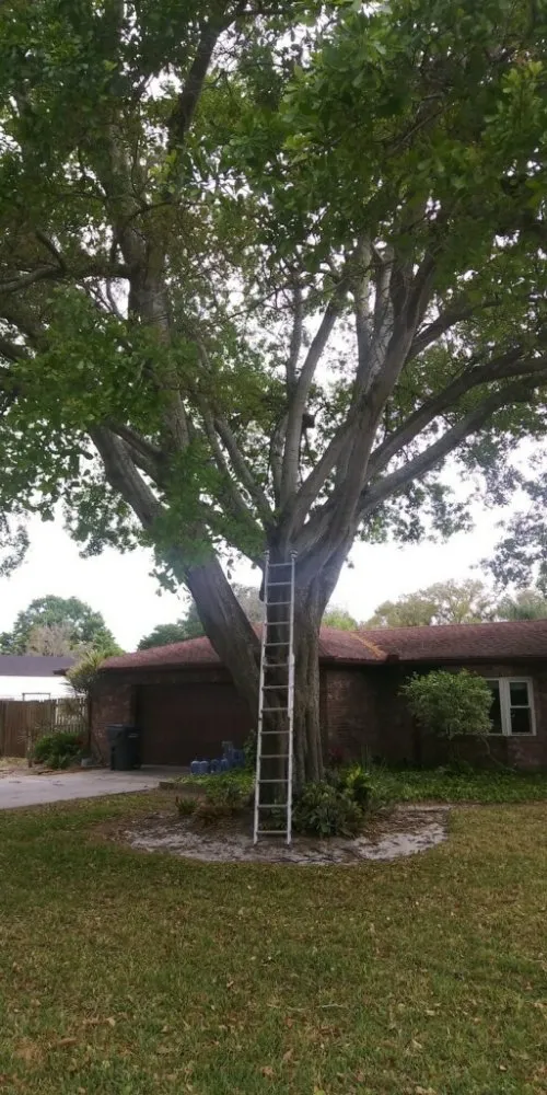 Slide of Reliant-Innovations