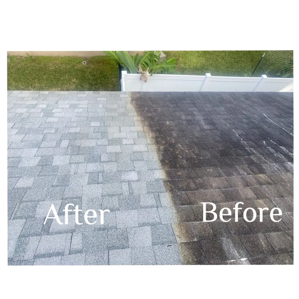 Slide of Reliant Roof Cleaning & Pressure Washing