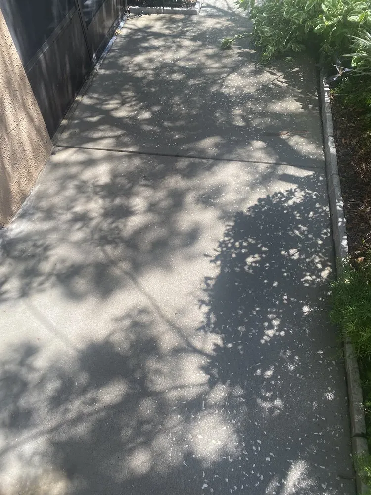 Slide of Reliant Roof Cleaning & Pressure Washing