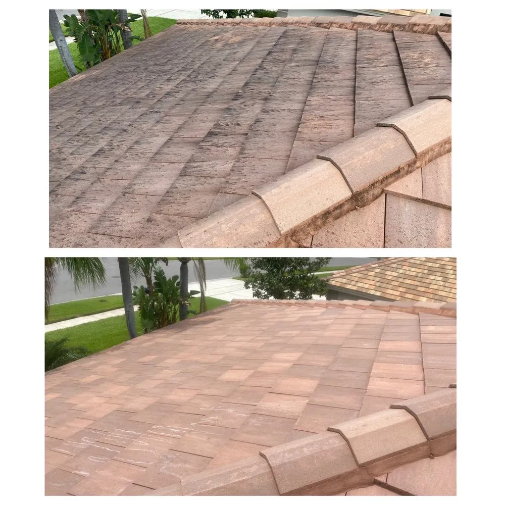 Slide of Reliant Roof Cleaning & Pressure Washing