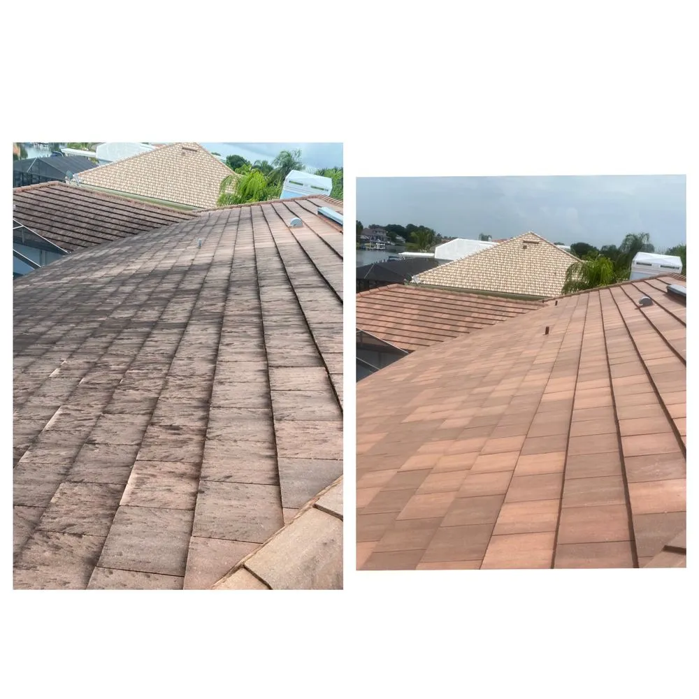 Slide of Reliant Roof Cleaning & Pressure Washing