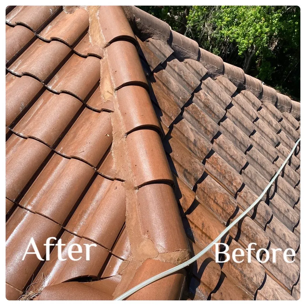 Slide of Reliant Roof Cleaning & Pressure Washing